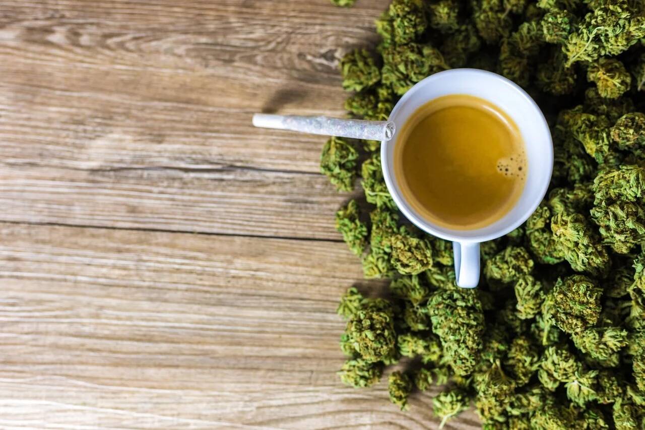 Discover the Best Ways to Enjoy CBD: A Guide for Boca Raton Residents