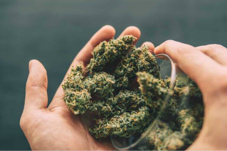 CBD Flower: Feel Better, Naturally: Your Friendly Guide to Nature’s Healing Magic