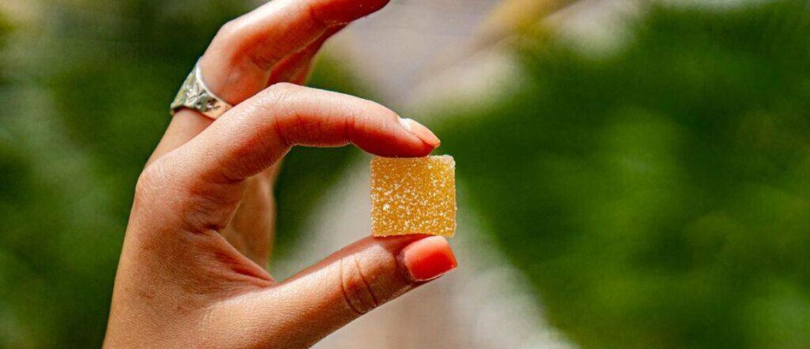 edible-Squared-1024x683.jpg