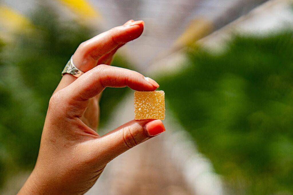 THC Edibles: Your Guide to Tasty Highs