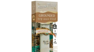 Mellow Fellow Papaya Peach 1G Fidget Disposable Grounded | LiftoffSmoke