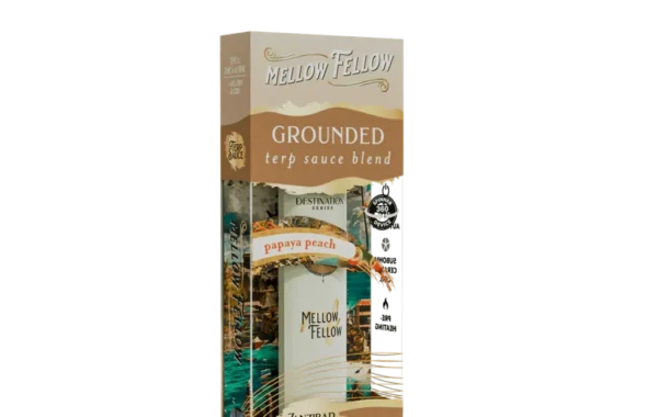 Mellow Fellow Papaya Peach 1G Fidget Disposable Grounded | LiftoffSmoke Stay balanced with Mellow Fellow Papaya Peach Grounded Fidget Disposable from LiftoffSmoke.