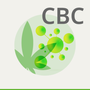 CBC